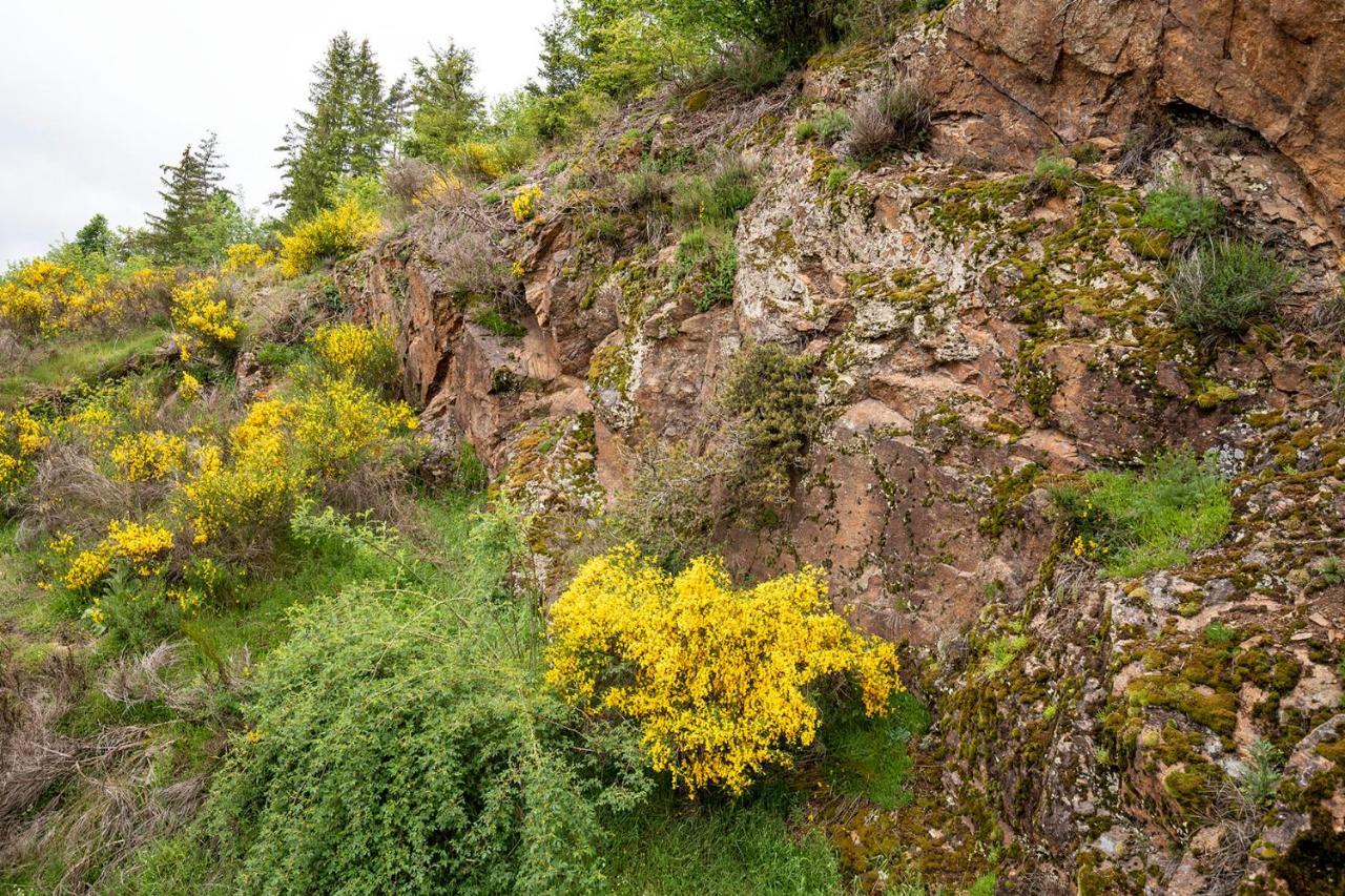Moulin Des Comtes - Chambre Les Rochers Viverols Εξωτερικό φωτογραφία